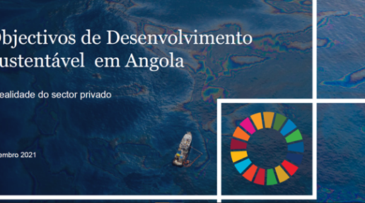 Objectivos de Desenvolvimento Sustentável em Angola - A realidade do sector privado